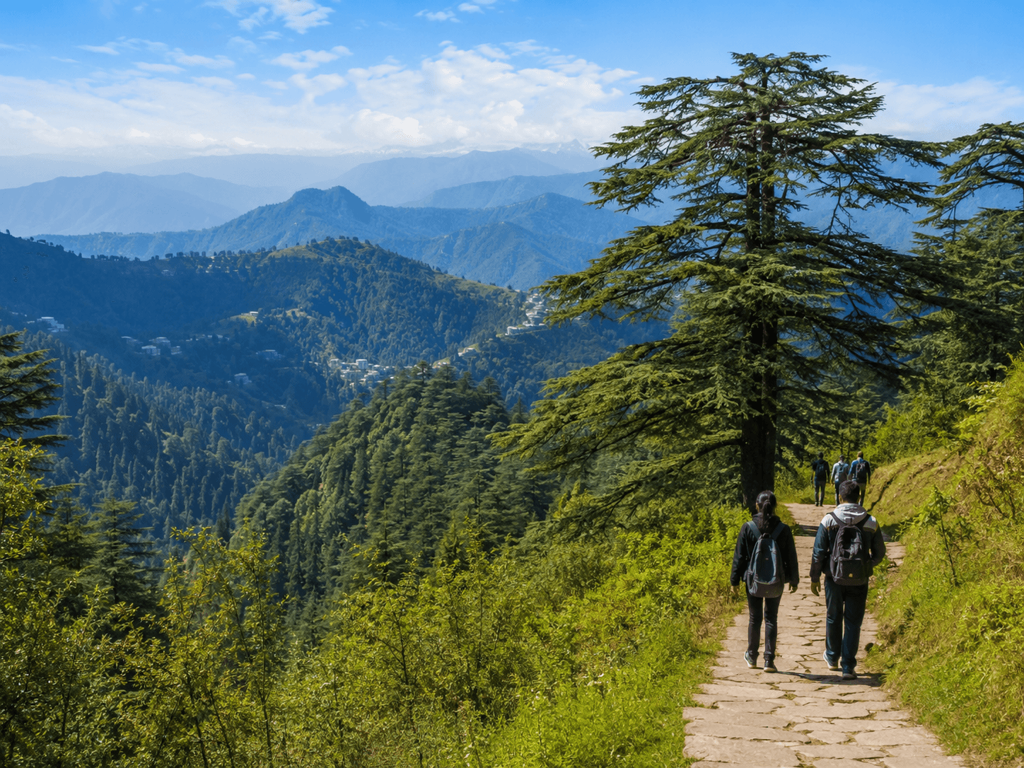 Dalhousie Sightseeing & Nature Walks