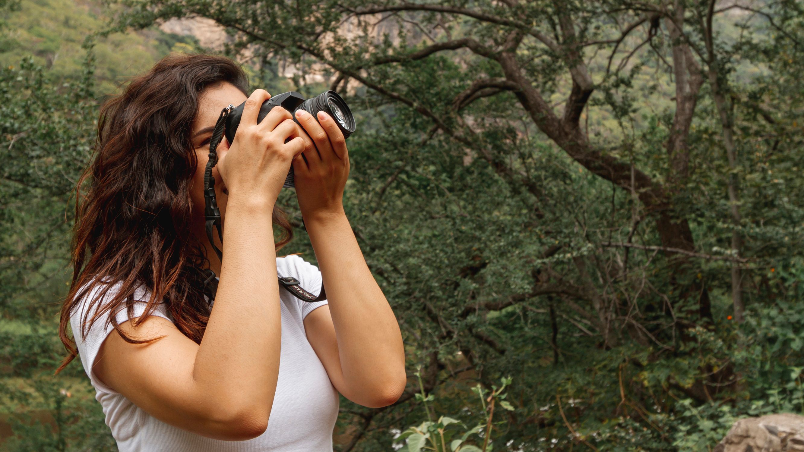 Nature and Birdwatching