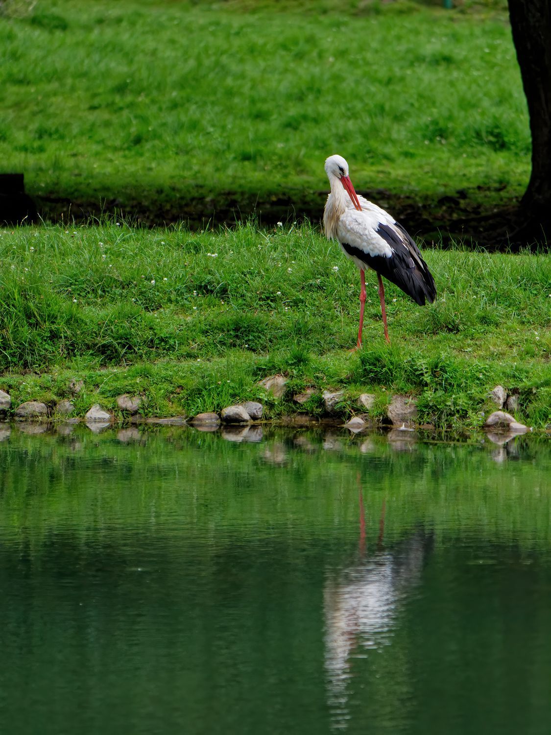 Okhla Bird Sanctuary | Nature